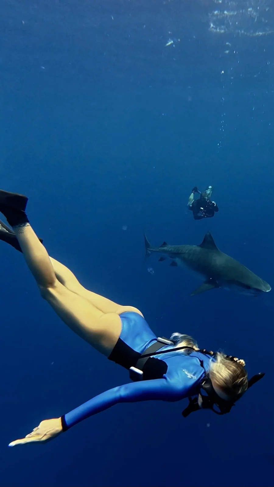 Freediving with Ocean Ramsey in the open blue. It means everything to have quality people looking out for you, teaching you to stay safe and to appreciate the grace of these animals. | Ocean Ramsey freediving with a tiger shark in Fuvahmulah, cageless shark diving, ocean conservation, One Ocean Diving, Nomadic Addictt. Freediving with Ocean Ramsey in the open blue. It means everything to have quality people looking out for you, teaching you to stay safe and to appreciate the grace of these animals. | Ocean Ramsey freediving with a tiger shark in Fuvahmulah, cageless shark diving, ocean conservation, One Ocean Diving, Nomadic Addictt.
