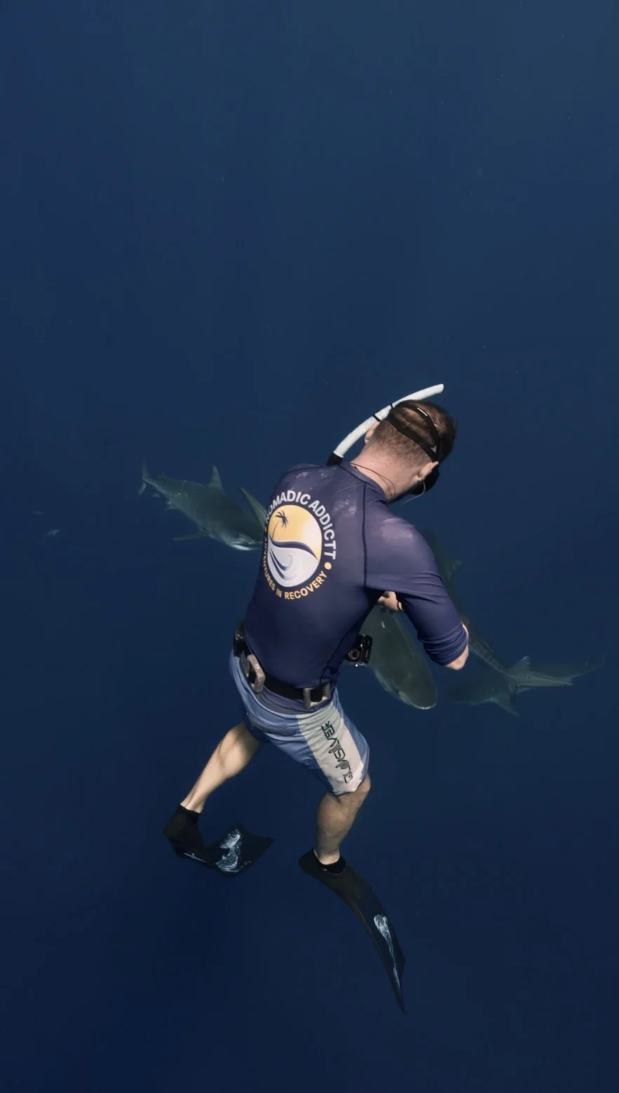 Diving Tiger Sharks in Fuvahmulah: A Sober Adventure in the Maldives - Zac Spowart | Nomadic Addictt