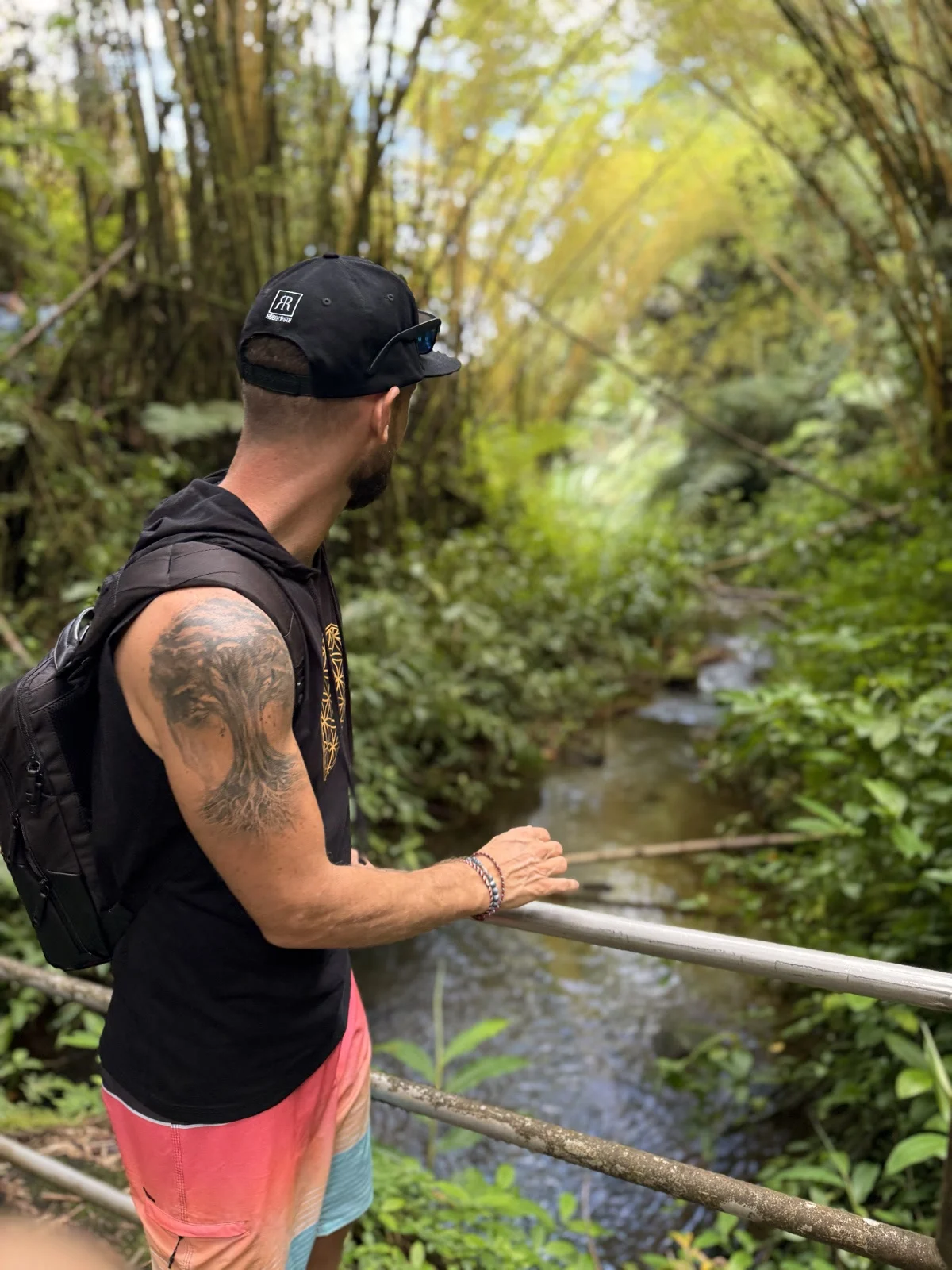 This is where the work actually happens. In your life, not away from it. | Looking out over a jungle stream in Hawaii, on recovery happening in real life rather than inside a facility, Nomadic Addictt. This is where the work actually happens. In your life, not away from it. | Looking out over a jungle stream in Hawaii, on recovery happening in real life rather than inside a facility, Nomadic Addictt.